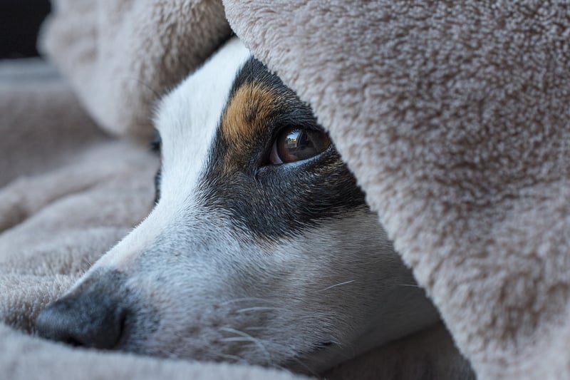 Bedtime Calmness